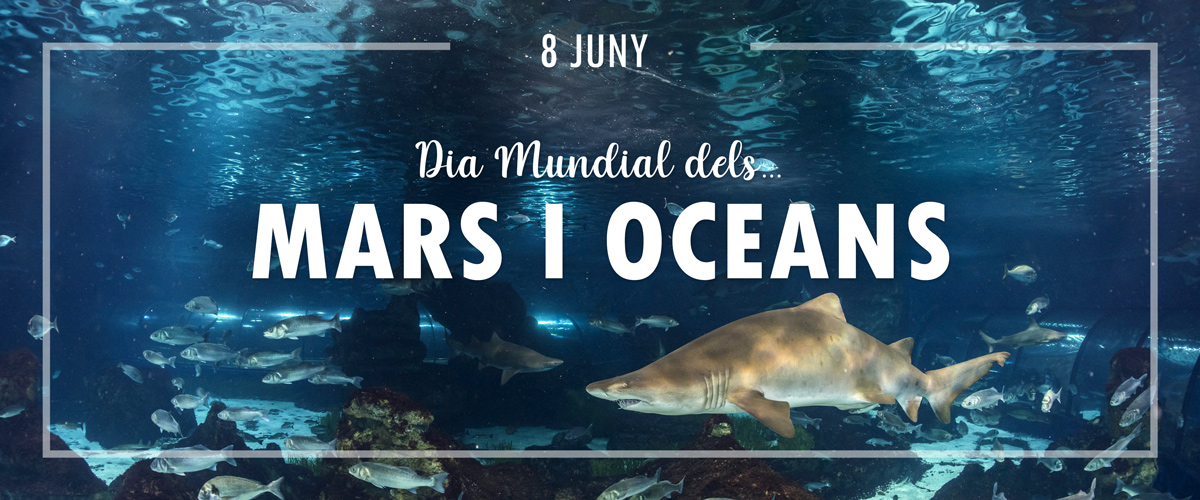 Dia Mundial Dels Mars I Oceans L Aqu Rium