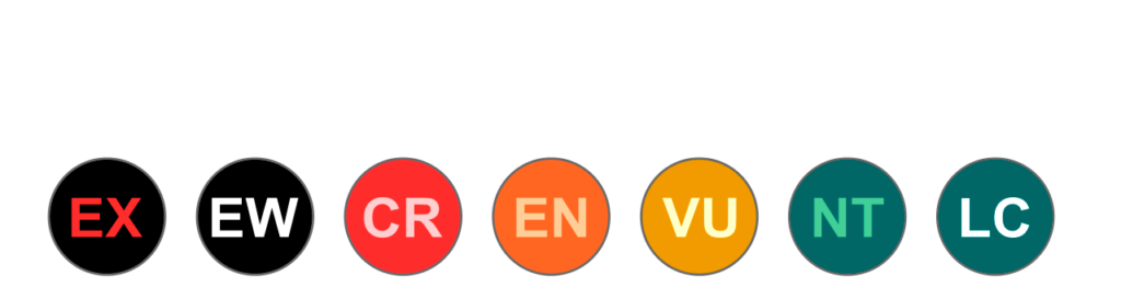 estat de conservacio