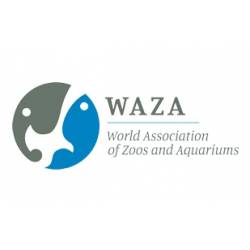 logo-waza